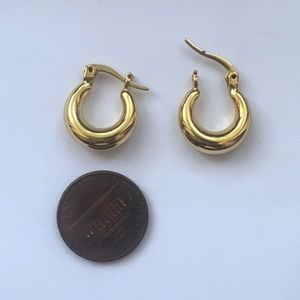 Never Worn St. Eve Mini Harlow Hoops